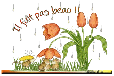 Afficher l'image d'origine