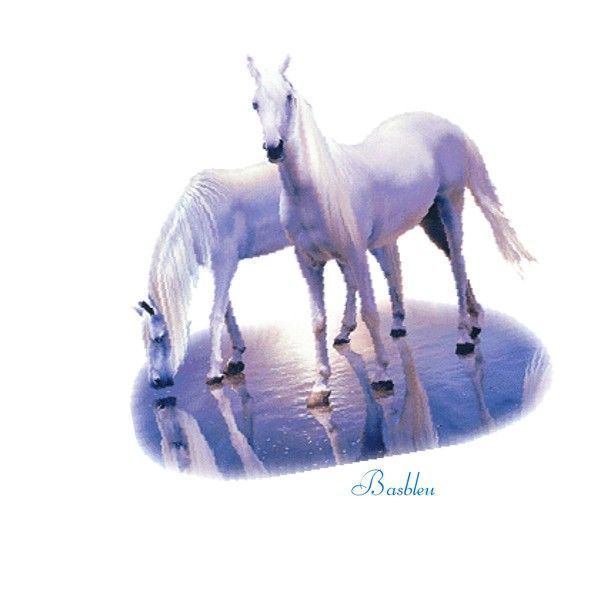 basbleu