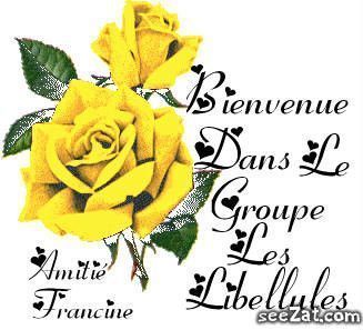 bienvenue sur les images du groupe